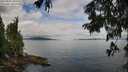./images/koeye/fitz-hugh/20250807/fitz-hugh20250807_103012M.jpg