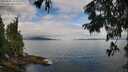 ./images/koeye/fitz-hugh/20250807/fitz-hugh20250807_103510M.jpg