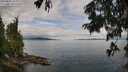 ./images/koeye/fitz-hugh/20250807/fitz-hugh20250807_105011M.jpg