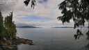 ./images/koeye/fitz-hugh/20250807/fitz-hugh20250807_112510M.jpg