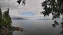 ./images/koeye/fitz-hugh/20250807/fitz-hugh20250807_113510M.jpg