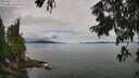 ./images/koeye/fitz-hugh/20250807/fitz-hugh20250807_115510M.jpg