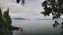 ./images/koeye/fitz-hugh/20250807/fitz-hugh20250807_122509M.jpg