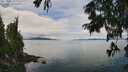 ./images/koeye/fitz-hugh/20250807/fitz-hugh20250807_123012M.jpg