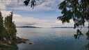 ./images/koeye/fitz-hugh/20250807/fitz-hugh20250807_124011M.jpg