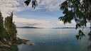 ./images/koeye/fitz-hugh/20250807/fitz-hugh20250807_124509M.jpg