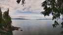 ./images/koeye/fitz-hugh/20250807/fitz-hugh20250807_130511M.jpg