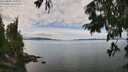 ./images/koeye/fitz-hugh/20250807/fitz-hugh20250807_131010M.jpg