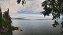 ./images/koeye/fitz-hugh/20250807/fitz-hugh20250807_131511M.jpg
