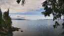 ./images/koeye/fitz-hugh/20250807/fitz-hugh20250807_133510M.jpg