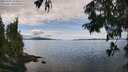 ./images/koeye/fitz-hugh/20250807/fitz-hugh20250807_134510M.jpg