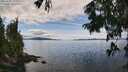 ./images/koeye/fitz-hugh/20250807/fitz-hugh20250807_135011M.jpg