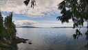 ./images/koeye/fitz-hugh/20250807/fitz-hugh20250807_140012M.jpg