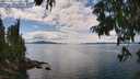 ./images/koeye/fitz-hugh/20250807/fitz-hugh20250807_142510M.jpg