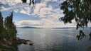 ./images/koeye/fitz-hugh/20250807/fitz-hugh20250807_143011M.jpg