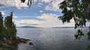 ./images/koeye/fitz-hugh/20250807/fitz-hugh20250807_144011M.jpg