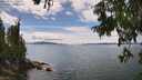 ./images/koeye/fitz-hugh/20250807/fitz-hugh20250807_144511M.jpg