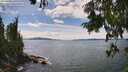./images/koeye/fitz-hugh/20250807/fitz-hugh20250807_150012M.jpg