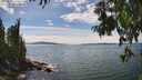 ./images/koeye/fitz-hugh/20250807/fitz-hugh20250807_150510M.jpg