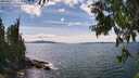 ./images/koeye/fitz-hugh/20250807/fitz-hugh20250807_151512M.jpg
