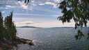 ./images/koeye/fitz-hugh/20250807/fitz-hugh20250807_152011M.jpg