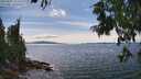 ./images/koeye/fitz-hugh/20250807/fitz-hugh20250807_152511M.jpg
