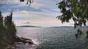 ./images/koeye/fitz-hugh/20250807/fitz-hugh20250807_155011M.jpg