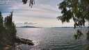 ./images/koeye/fitz-hugh/20250807/fitz-hugh20250807_160012M.jpg