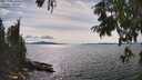 ./images/koeye/fitz-hugh/20250807/fitz-hugh20250807_160510M.jpg