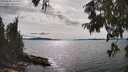 ./images/koeye/fitz-hugh/20250807/fitz-hugh20250807_163511M.jpg