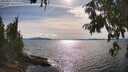 ./images/koeye/fitz-hugh/20250807/fitz-hugh20250807_171011M.jpg