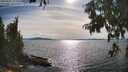 ./images/koeye/fitz-hugh/20250807/fitz-hugh20250807_172011M.jpg