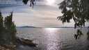 ./images/koeye/fitz-hugh/20250807/fitz-hugh20250807_173012M.jpg