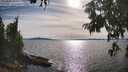 ./images/koeye/fitz-hugh/20250807/fitz-hugh20250807_173508M.jpg
