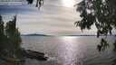 ./images/koeye/fitz-hugh/20250807/fitz-hugh20250807_174009M.jpg