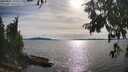 ./images/koeye/fitz-hugh/20250807/fitz-hugh20250807_174510M.jpg