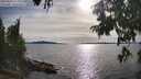 ./images/koeye/fitz-hugh/20250807/fitz-hugh20250807_175010M.jpg
