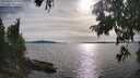 ./images/koeye/fitz-hugh/20250807/fitz-hugh20250807_175509M.jpg