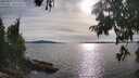 ./images/koeye/fitz-hugh/20250807/fitz-hugh20250807_180012M.jpg