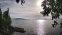 ./images/koeye/fitz-hugh/20250807/fitz-hugh20250807_181011M.jpg