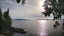 ./images/koeye/fitz-hugh/20250807/fitz-hugh20250807_181511M.jpg