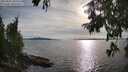 ./images/koeye/fitz-hugh/20250807/fitz-hugh20250807_182011M.jpg