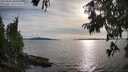 ./images/koeye/fitz-hugh/20250807/fitz-hugh20250807_182510M.jpg
