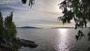 ./images/koeye/fitz-hugh/20250807/fitz-hugh20250807_183012M.jpg