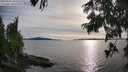 ./images/koeye/fitz-hugh/20250807/fitz-hugh20250807_183509M.jpg