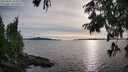 ./images/koeye/fitz-hugh/20250807/fitz-hugh20250807_184011M.jpg