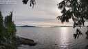 ./images/koeye/fitz-hugh/20250807/fitz-hugh20250807_184511M.jpg