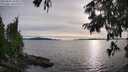 ./images/koeye/fitz-hugh/20250807/fitz-hugh20250807_185008M.jpg