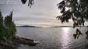 ./images/koeye/fitz-hugh/20250807/fitz-hugh20250807_185510M.jpg