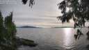 ./images/koeye/fitz-hugh/20250807/fitz-hugh20250807_190009M.jpg